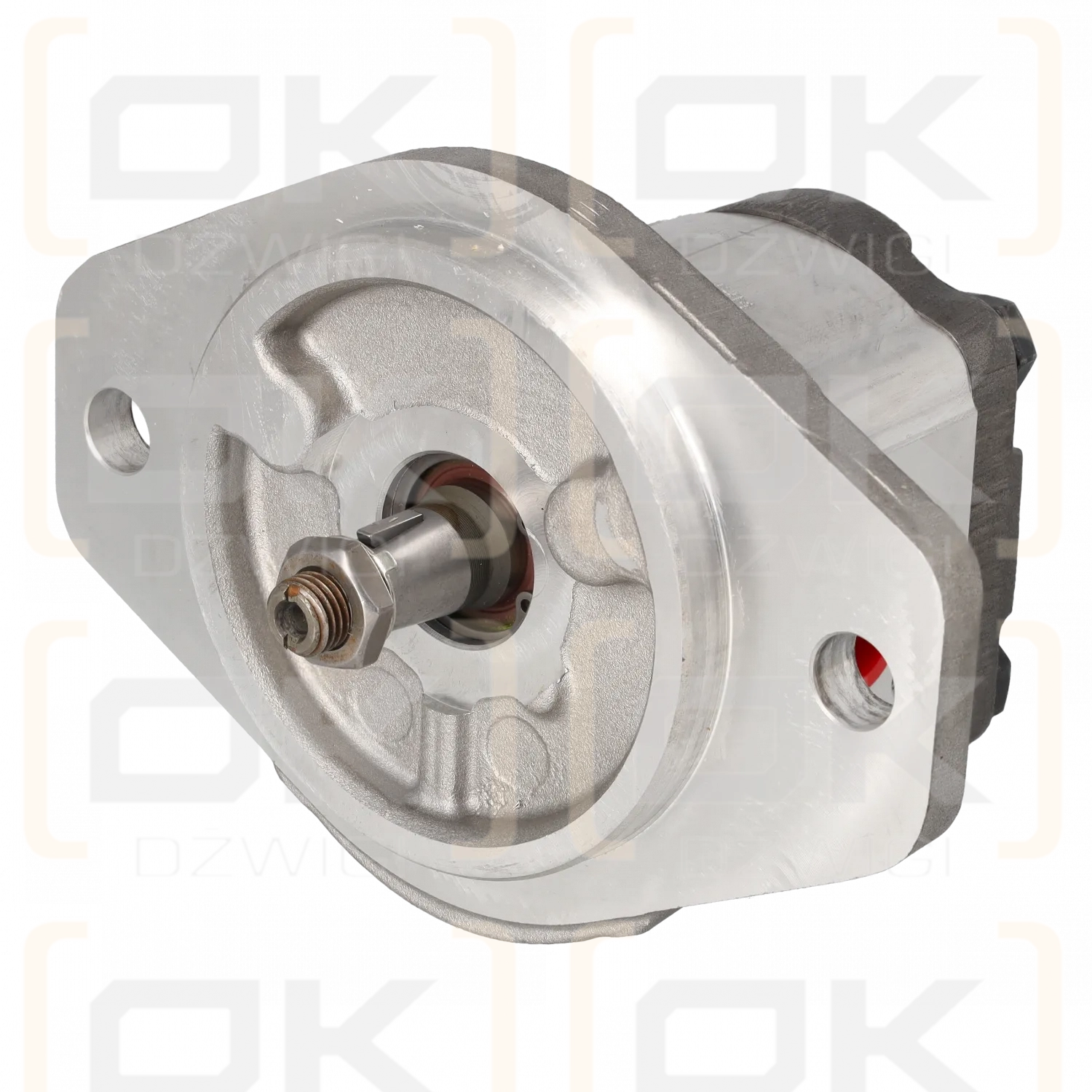 Bomba de engranajes 1PF2G240/011LC20KC.S103